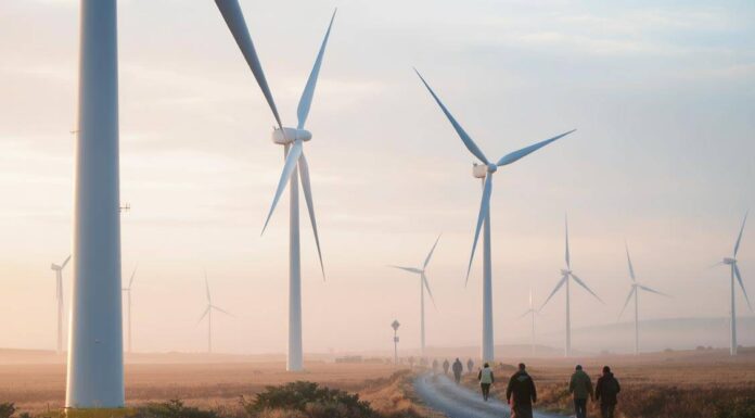 Carbon Offsets: A Critical Look at Efficacy and Integrity in Climate Action