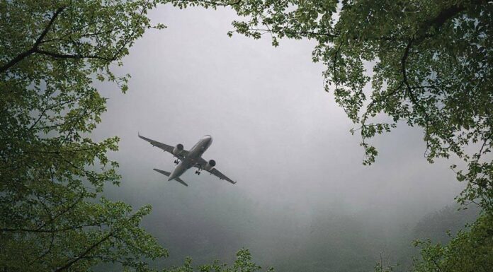 Exploring the Efficacy of Corporate Carbon Offsets: Climate Solution or Environmental Paradox?