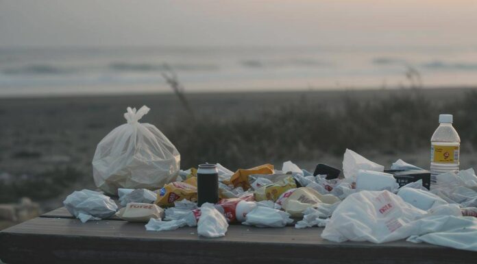 Global plastic production exceeds 400 million metric tonnes annually