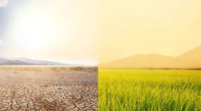 Desalination Startups: Funding, Innovations, and Environmental Challenges in 2024-2025