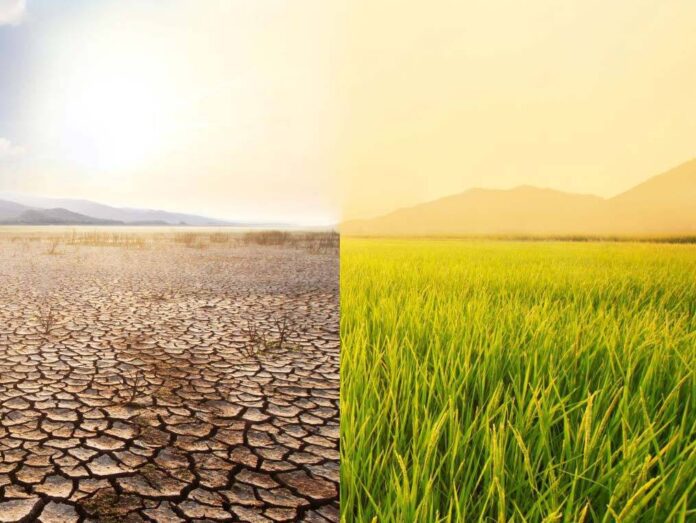 Desalination Startups: Funding, Innovations, and Environmental Challenges in 2024-2025