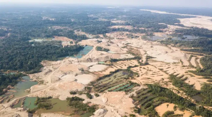 Garimpeiros' Mercury Shadow: Polluting South America's Rivers and Endangering Communities