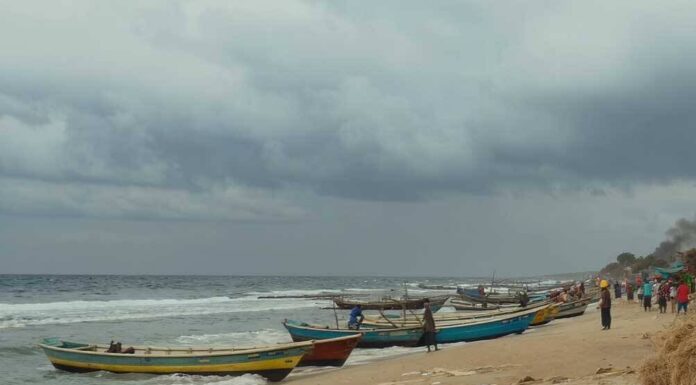 Overfishing in West Africa: Tackling Illegal Fishing and Marine Biodiversity Loss with 2025 Solutions