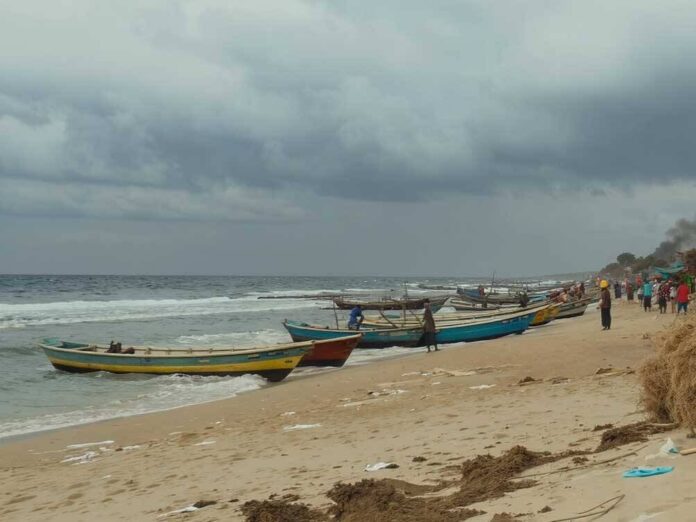 Overfishing in West Africa: Tackling Illegal Fishing and Marine Biodiversity Loss with 2025 Solutions
