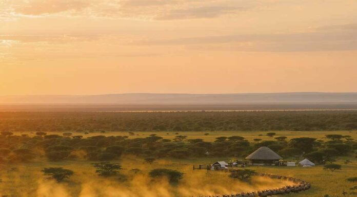 Protected Areas and Ecological Corridors in Africa: Biodiversity Conservation in 2025