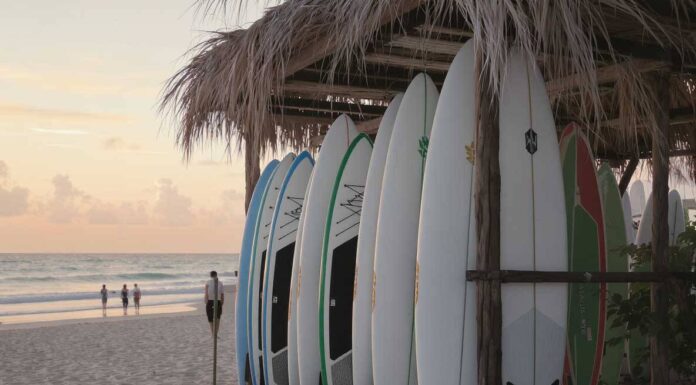 Stand-Up Paddleboard Market Trends and Environmental Sustainability Impacts in 2025