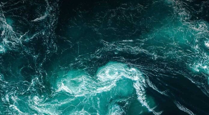 The Push for a Deep-Sea Mining Moratorium in 2025: Environmental Impacts and International Support