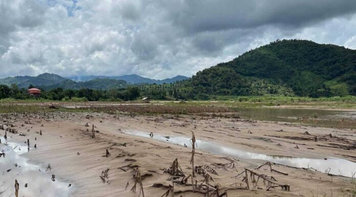 The Silent Crisis: Asian River Pollution's Devastating Impact on Food Safety and Agriculture in 2025