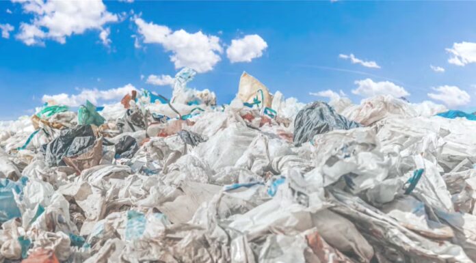 Can Enzyme-Based Plastic Recycling Really Disrupt the Petrochemical Empire, or Is It Just Green Hype ?