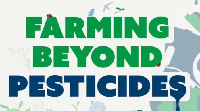 Farming Beyond Pesticides: Europe's Push for Sustainable Farming Amid Export Controversies