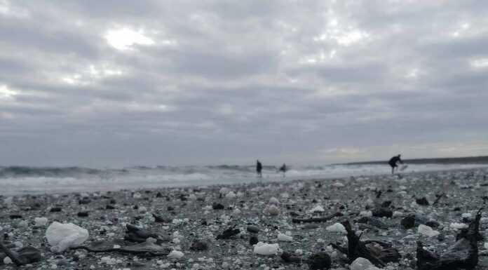 Navigating Microplastic Pollution: Regulations and Global Treaty Negotiations in 2025